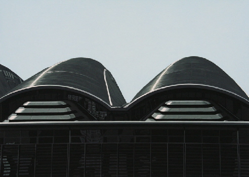 Halle-3